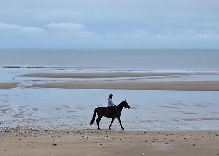 Vue Imprenable, Wifi, Linge De Maison & Menage Compris * Blonville-sur-Mer